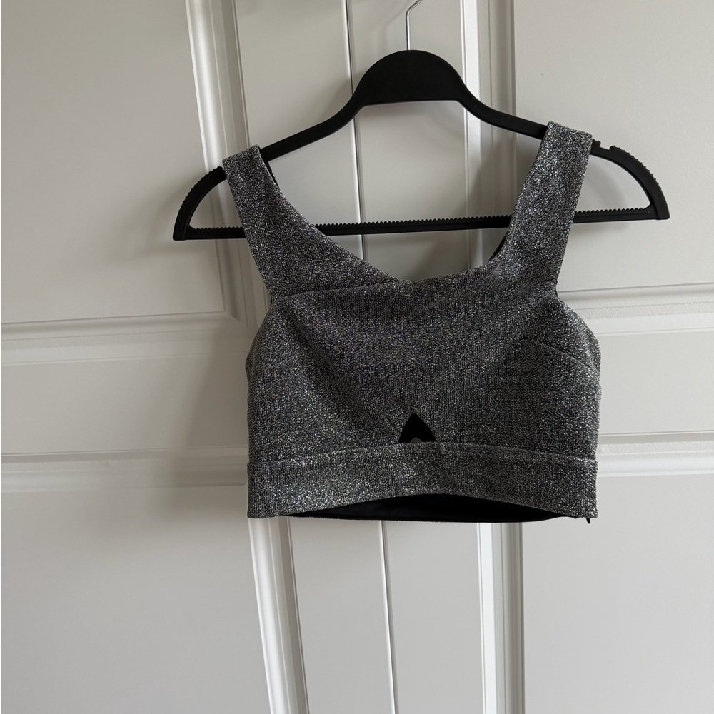 Express Shimmering Silver Crop Top